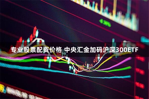 专业股票配资价格 中央汇金加码沪深300ETF