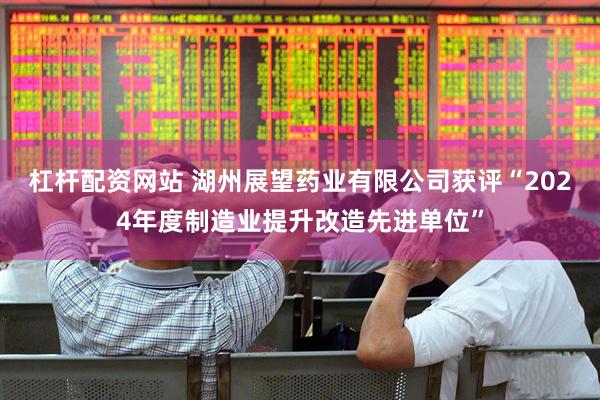 杠杆配资网站 湖州展望药业有限公司获评“2024年度制造业提升改造先进单位”