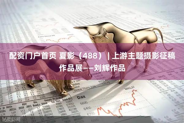 配资门户首页 夏影（488） | 上游主题摄影征稿作品展——刘辉作品