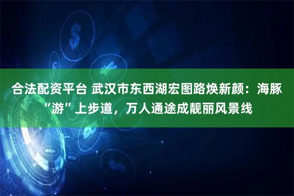 合法配资平台 武汉市东西湖宏图路焕新颜：海豚“游”上步道，万人通途成靓丽风景线