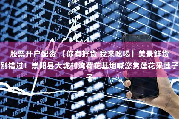 股票开户配资 【你有好货 我来吆喝】美景鲜货别错过！崇阳县大垅村湾荷花基地喊您赏莲花采莲子